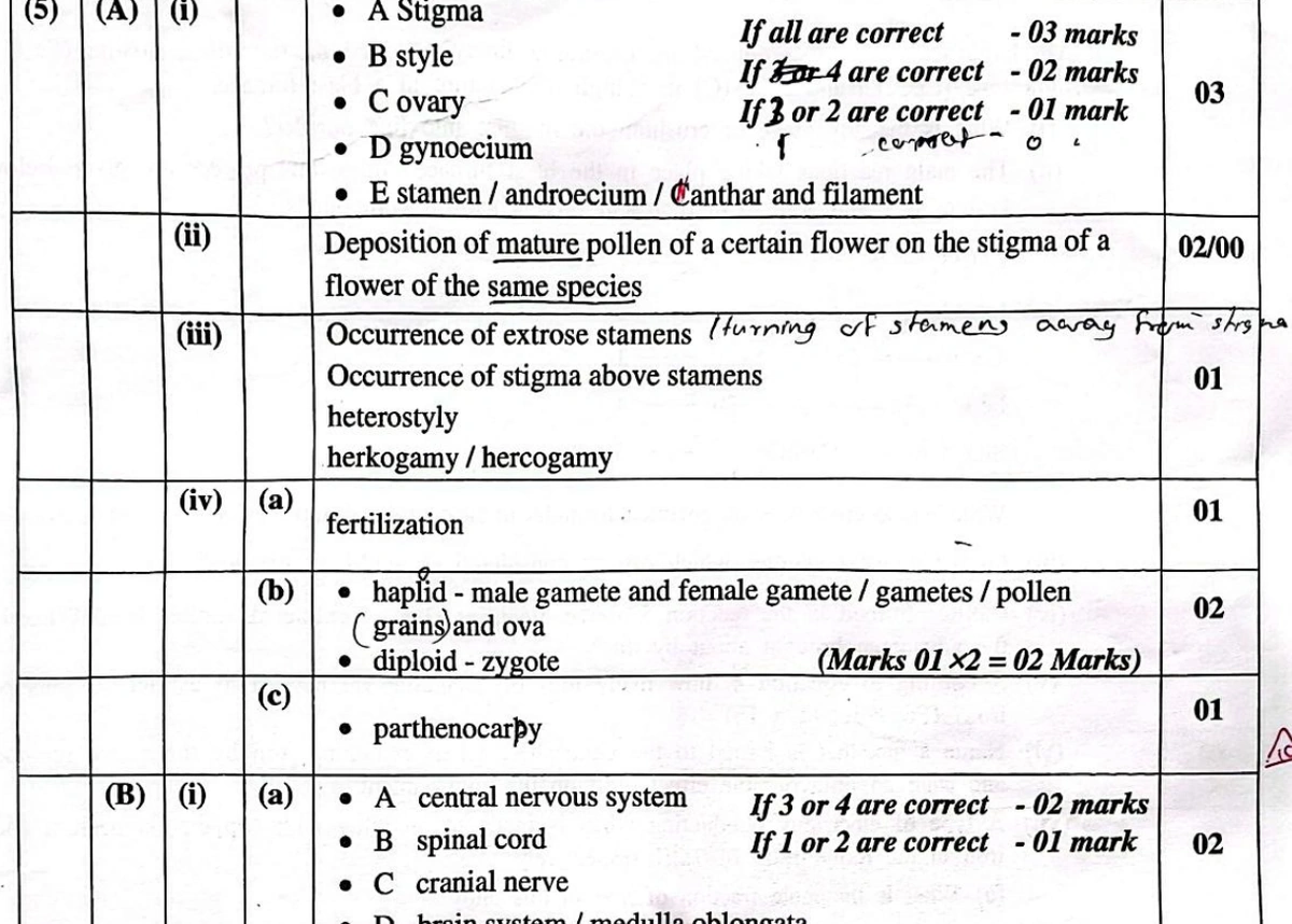 O/L Science marking scheme 2024 excerpt showing all-or-nothing 02/00 marking and banded partial credit